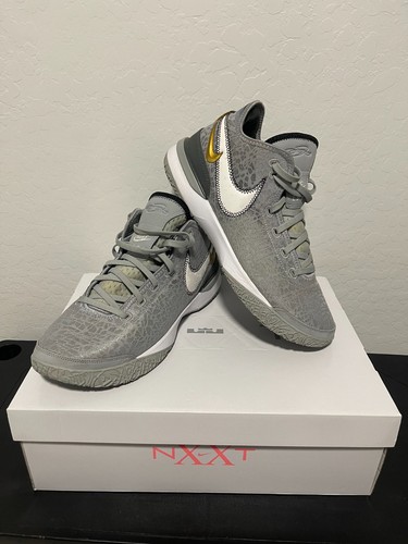 Nike zoom lebron nxxt gen - ,