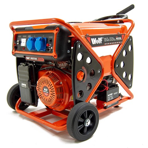 Display petrol generator - ex,